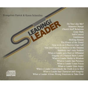 Leading the Leader Series